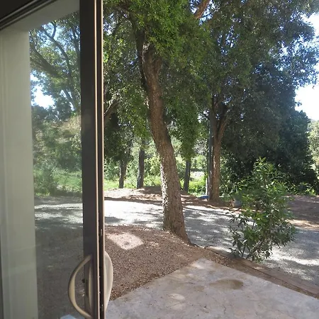 San Niolo * Cervione