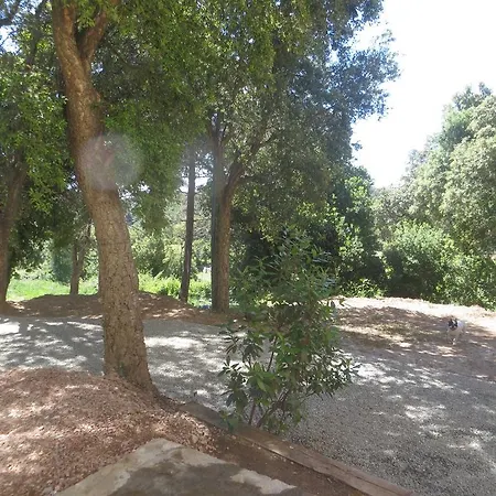 San Niolo *